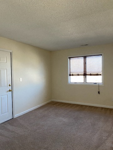 Gallery Photo 19